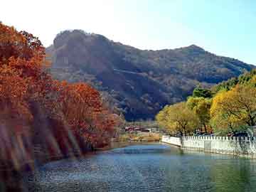 新澳天天开奖资料大全旅游团，小偷站群